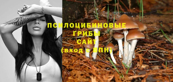 герыч Магас