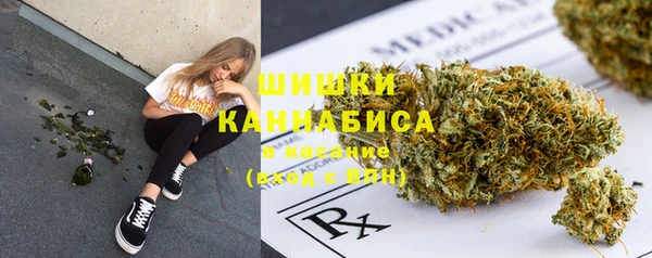 ПСИЛОЦИБИНОВЫЕ ГРИБЫ Магадан