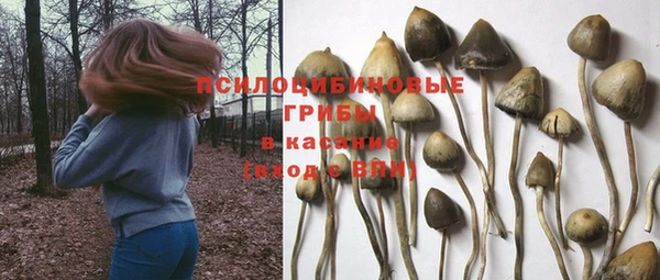 метадон Медвежьегорск